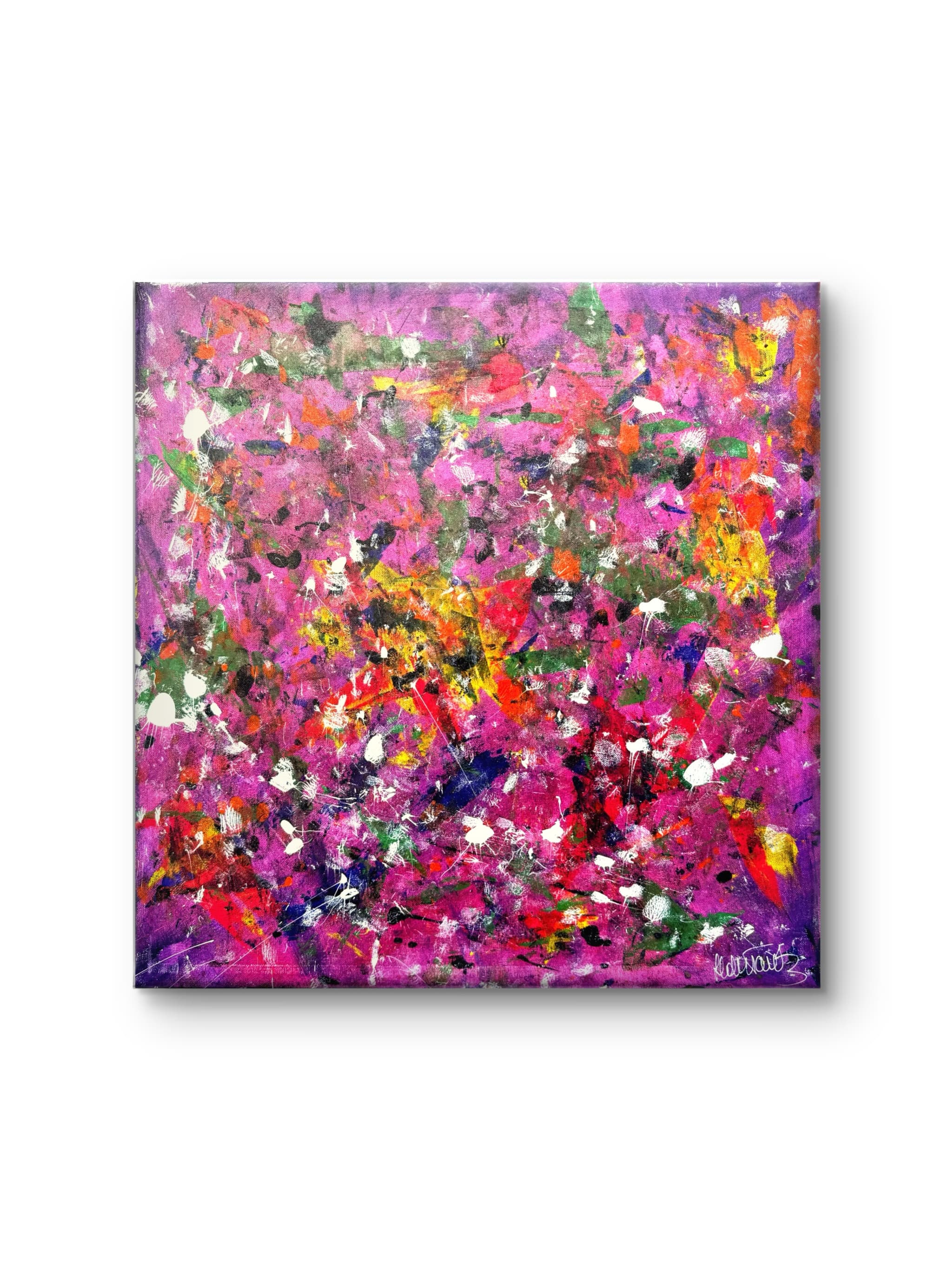 Bougainvillea Whisper
